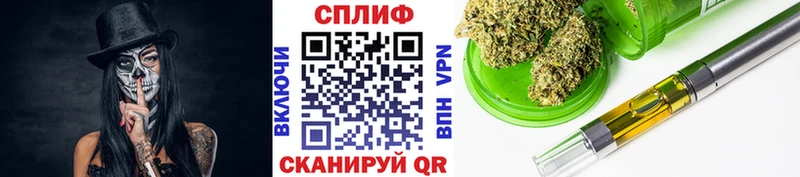 МЕФ Бологое