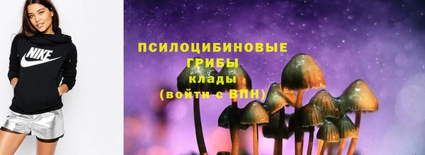 МДПВ Карталы