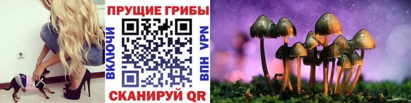Галлюциногенные грибы мицелий  Купить  Бологое 